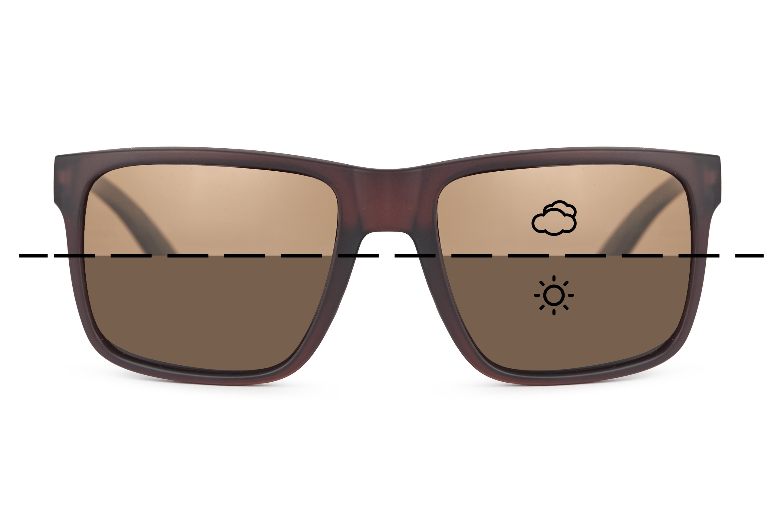 Fortis Bays Sonnenbrille Switch Brown